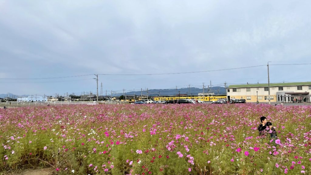 普通の休日