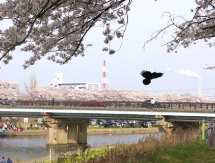 愛知県出身デザイナーが思う、四日市の魅力